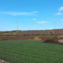 대웅황토펜션 이미지