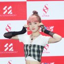 다인 이미지