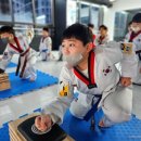 품 태권도 이미지