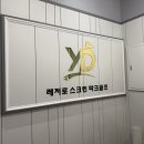 와이디스크린골프