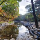 사방 이미지