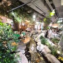 돈까스익스프레스 이미지