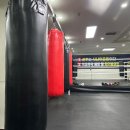 한샘프로복싱체육관 이미지