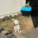 스테이느으린 이미지