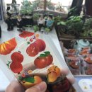 백수진미의원 | #전주 백수진미의원 #레이저 제모시술후기(feat.과거별병 데헤아) #전주 피부과