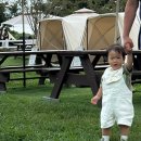 선창목장 이미지