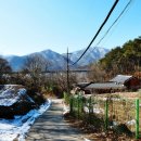 조안2리 이미지