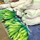 평창역 관광안내소 이미지