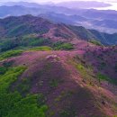 05월05일 어린이날 휴일 보성 일림산철쭉 축제 이미지