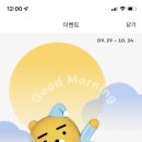 굿모닝꼬꼬
