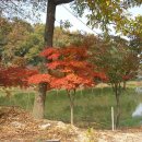 호수산장 - 전주시 덕진구 아중호수길 86 | 호수산장