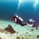 사방비치 다이빙｜판타씨 리프 (FANTASEA REEF) 후기