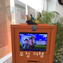 우정문화마을C | 2월의 묵호 우정일기