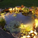 연못이 있는 풍경 이미지