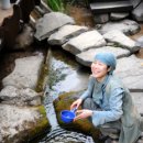 자연과 건강(산야초 이야기) 이미지