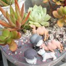 김기철 농장 이미지