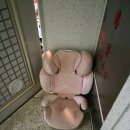일산 카시트 방문수거 세탁 베베케어 내돈내산 후기