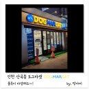 도그마캣부평