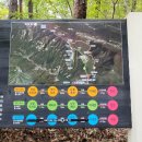 상동 영화의 거리 | 가을 금빛낭만 명성산 단풍억새 등산 후기(1코스 등산 + 2코스 하산 루트 정리)