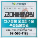 내마음의동물병원 이미지