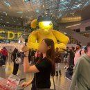카타르 항공 경유 여행 도하 하마드 국제공항 면세점 쇼핑리스트
