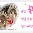 김밥사랑온양1호점