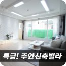 이안애비뉴 이미지