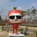 일토농장 이미지