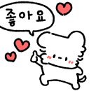 플라워케이크세렝