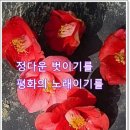 해인향기 이미지