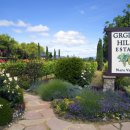 그르그르 이미지