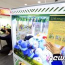 인형뽑기 이미지