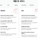 킹 소프트 이미지