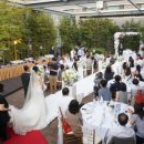 베스트 웨스턴 프리미어 강남호텔 이미지