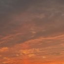 웅이네오돌뼈닭발도 이미지