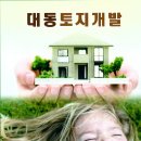 대동토지개발/공인중개사 홍석조/단원구 대부북동 1837-19번지/tel.032-887-7071 moble.***-***-**** 이미지