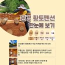 해와별펜션민박 네이버블로그