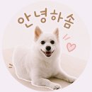 거실 분위기가 확 달라진 3인용 소파! 크렌시아 프린홈 모션핏 무빙 모션 리클라이너 내돈내산 후기