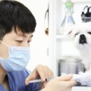 본동물메디컬센터 24시수성점 이미지