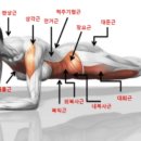 용황헬스 네이버블로그