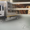 병무농장 이미지