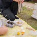 서수김밥 이미지