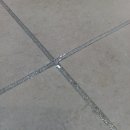 미래종합동물병원 이미지