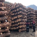 동해-단속-10 이미지