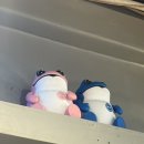 건우공간정보