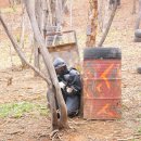 정무태권도체육관 이미지