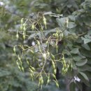 우석초등학교 이미지