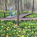 토함산자연휴양림 이미지