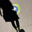 남부순환로(북측) 이미지