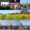 오션네트웍스(주)동백지점 | (제주)당일치기 친구들과 몽숭이생일 여행